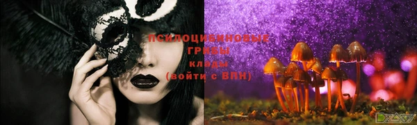 дмт Богданович
