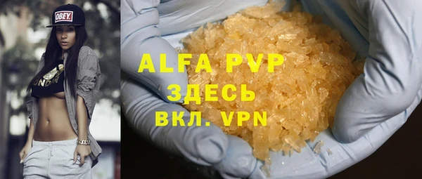 дмт Богданович