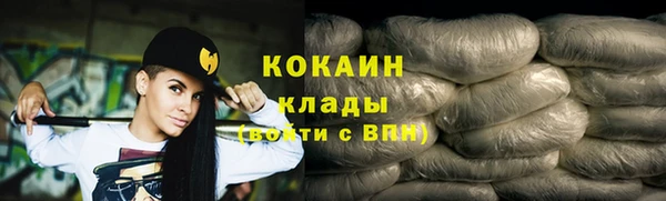 дмт Богданович