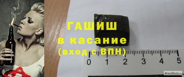 дмт Богданович