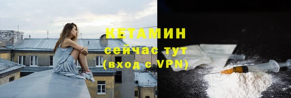 дмт Богданович