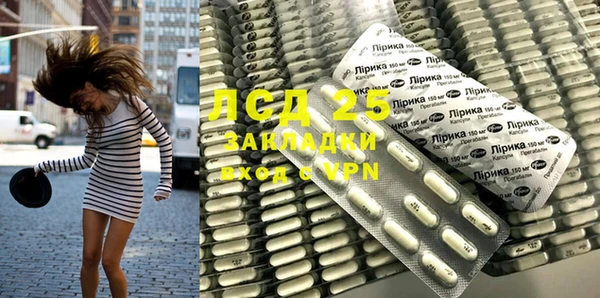 дмт Богданович