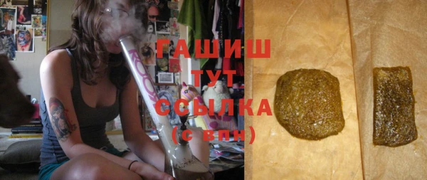 дмт Богданович