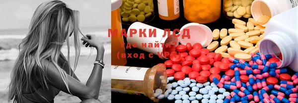 дмт Богданович