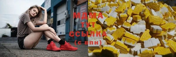 дмт Богданович