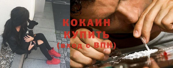 дмт Богданович