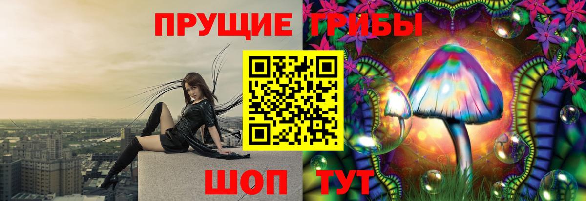 Сланцы  Галлюциногенные грибы Psilocybine cubensis  Вход с VPN  Псилоцибиновые грибы мухоморы 